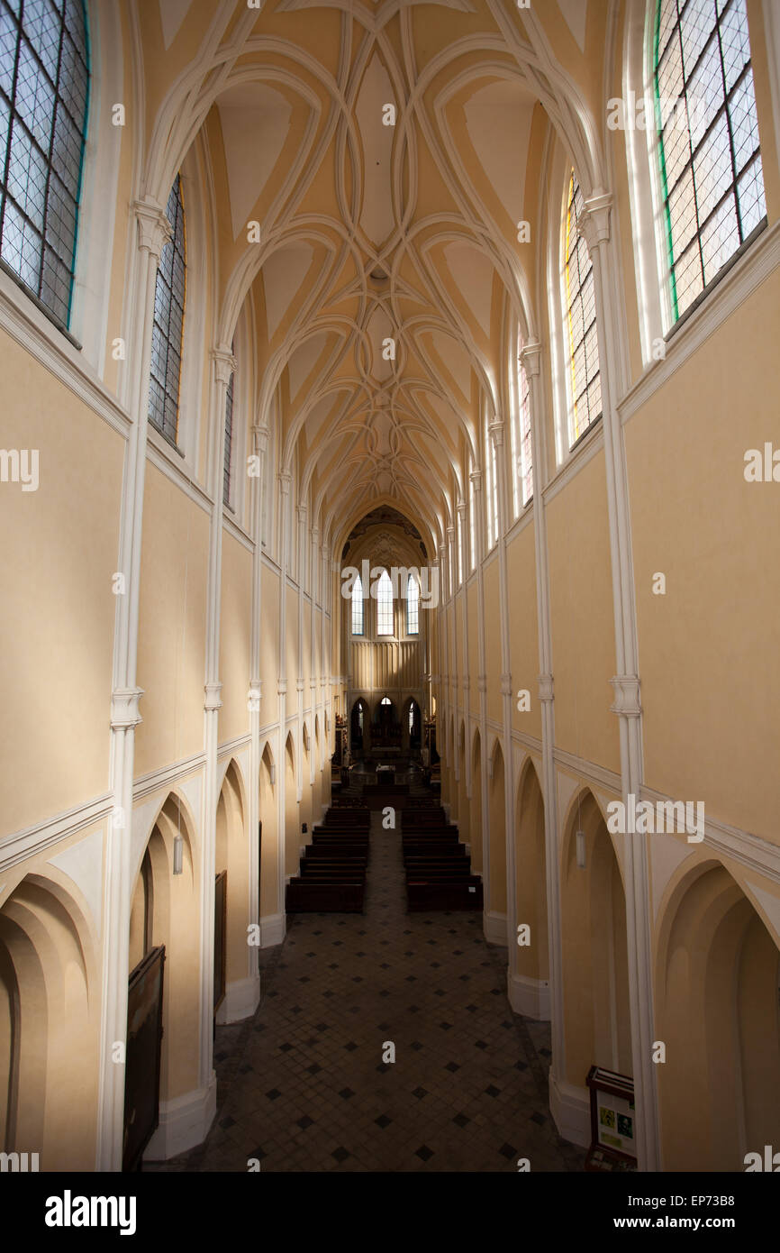 Kutna Hora: Cattedrale dell'Assunzione di Nostra Signora: interno Foto Stock