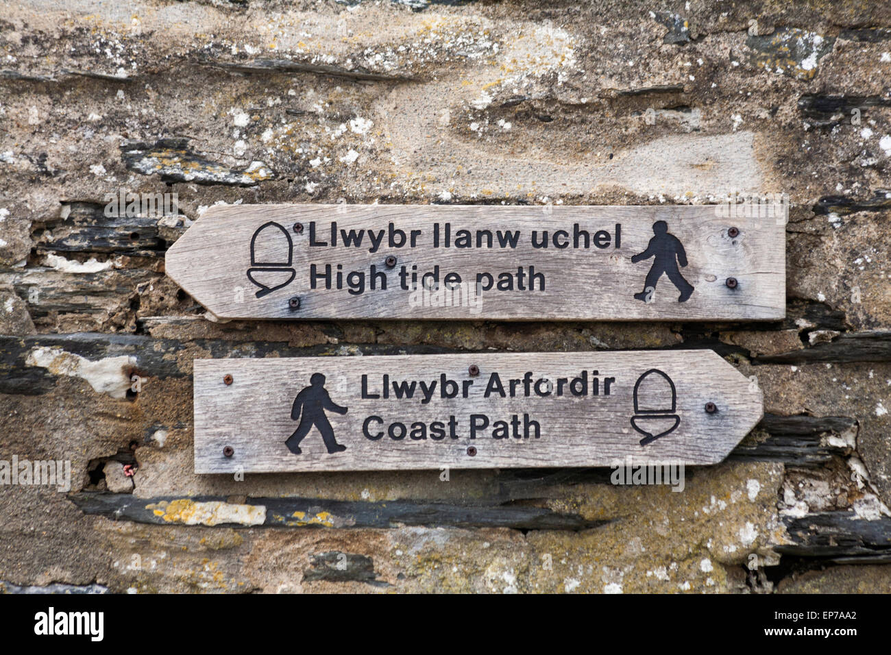Percorso ad alta marea e cartelli della costa presso il Parrog, all'estremità meridionale di Newport Beach, Pembrokeshire Coast National Park, Galles, Regno Unito a maggio Foto Stock