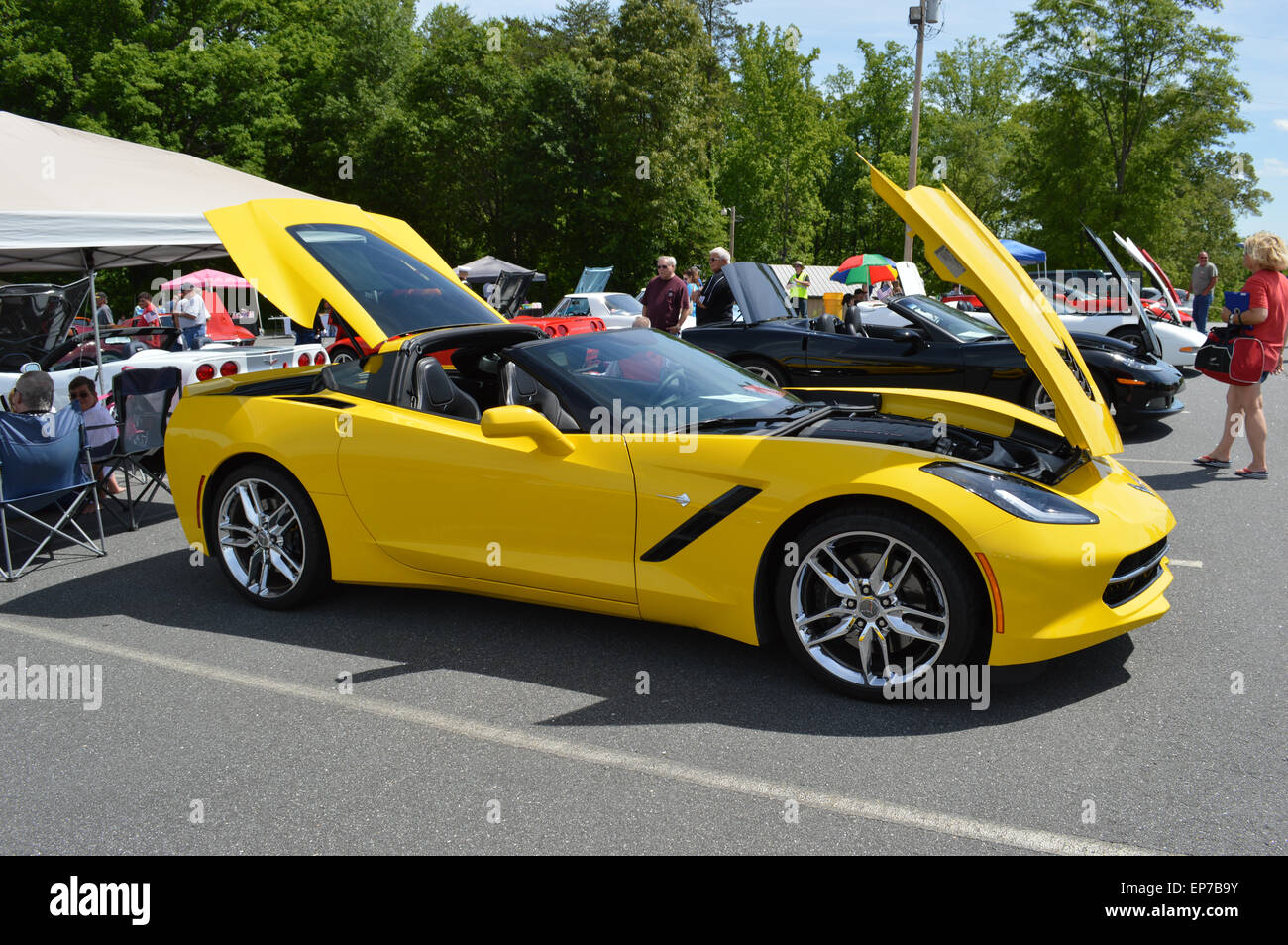 Una Corvette Stingray C7 a un'auto show. Foto Stock