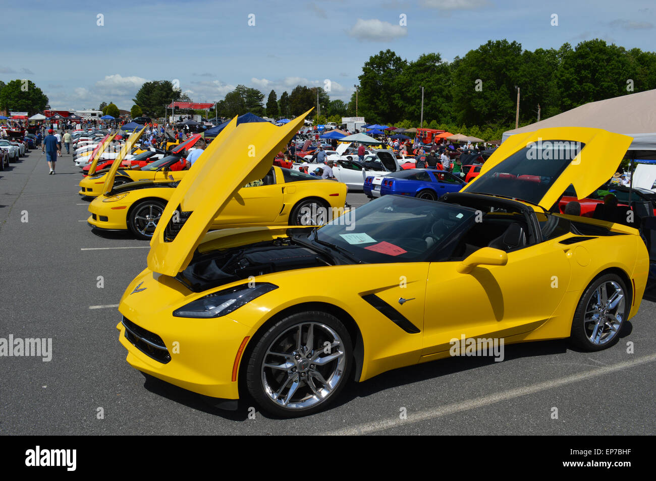 Una Corvette Stingray C7 a un'auto show. Foto Stock