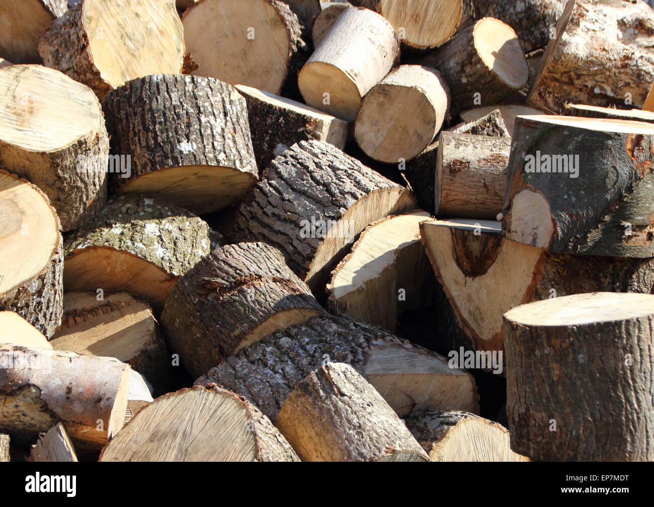 Gran mucchio di grandi tritato Trunk di taglio di legna da ardere Foto Stock