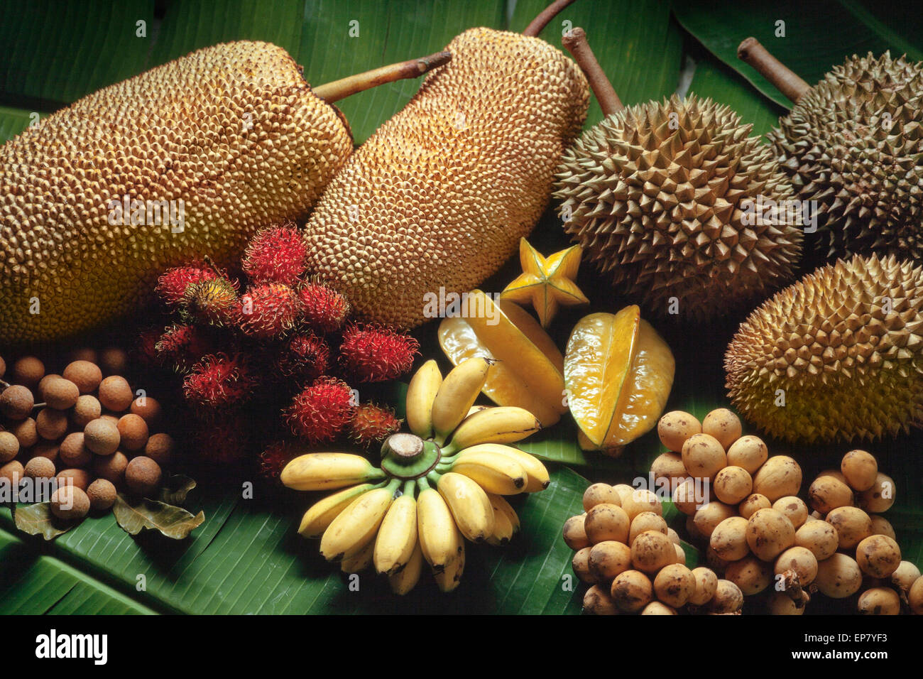 Frutti tropicali varietà, Malaysia; Durian, banana, Star Fruit, rambutan, jackfruit, longan, mata kuching Foto Stock