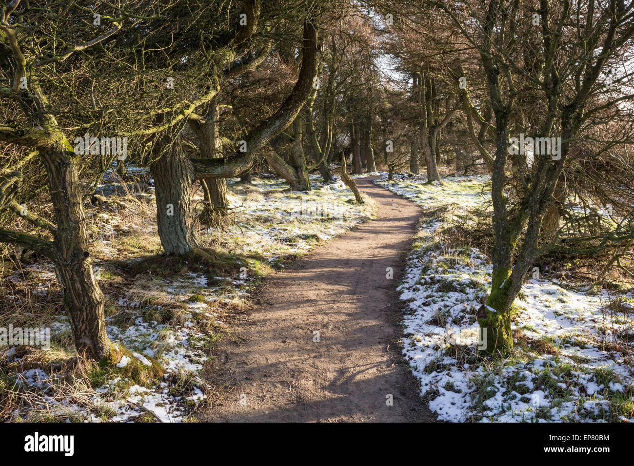 Il sentiero su Sutton Bank, North Yorkshire. Foto Stock