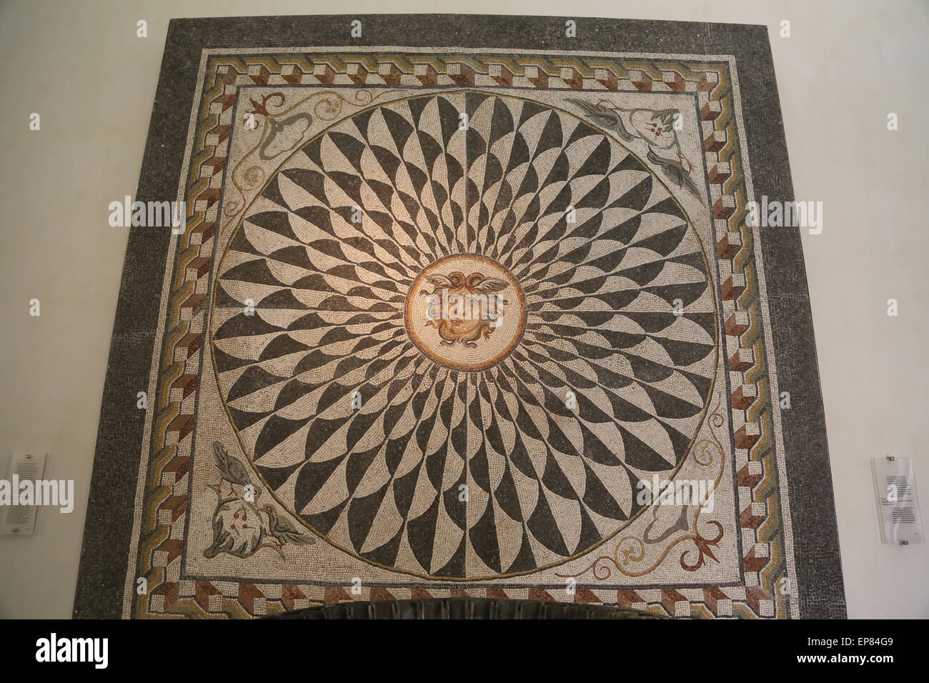 Mosaico Romano Di Medusa Terme Di Diocleziano A Roma Museo Nazionale mosaico-romano-di-medusa-terme-di-diocleziano-a-roma-museo-nazionale