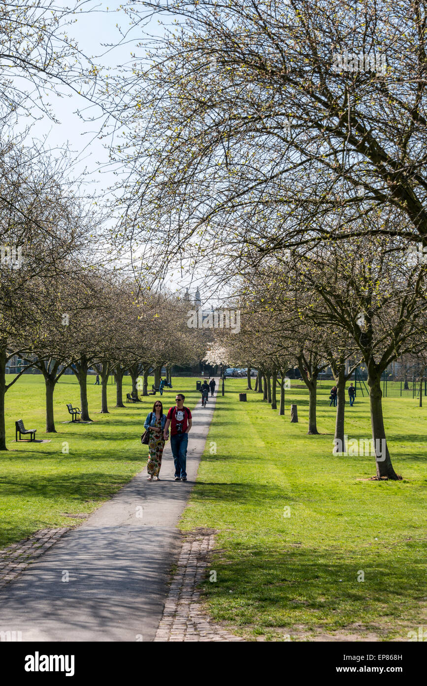 Un paio di camminare mano nella mano attraverso il viale alberato percorso di Gesù verde, Cambridge in una bella giornata di primavera Foto Stock
