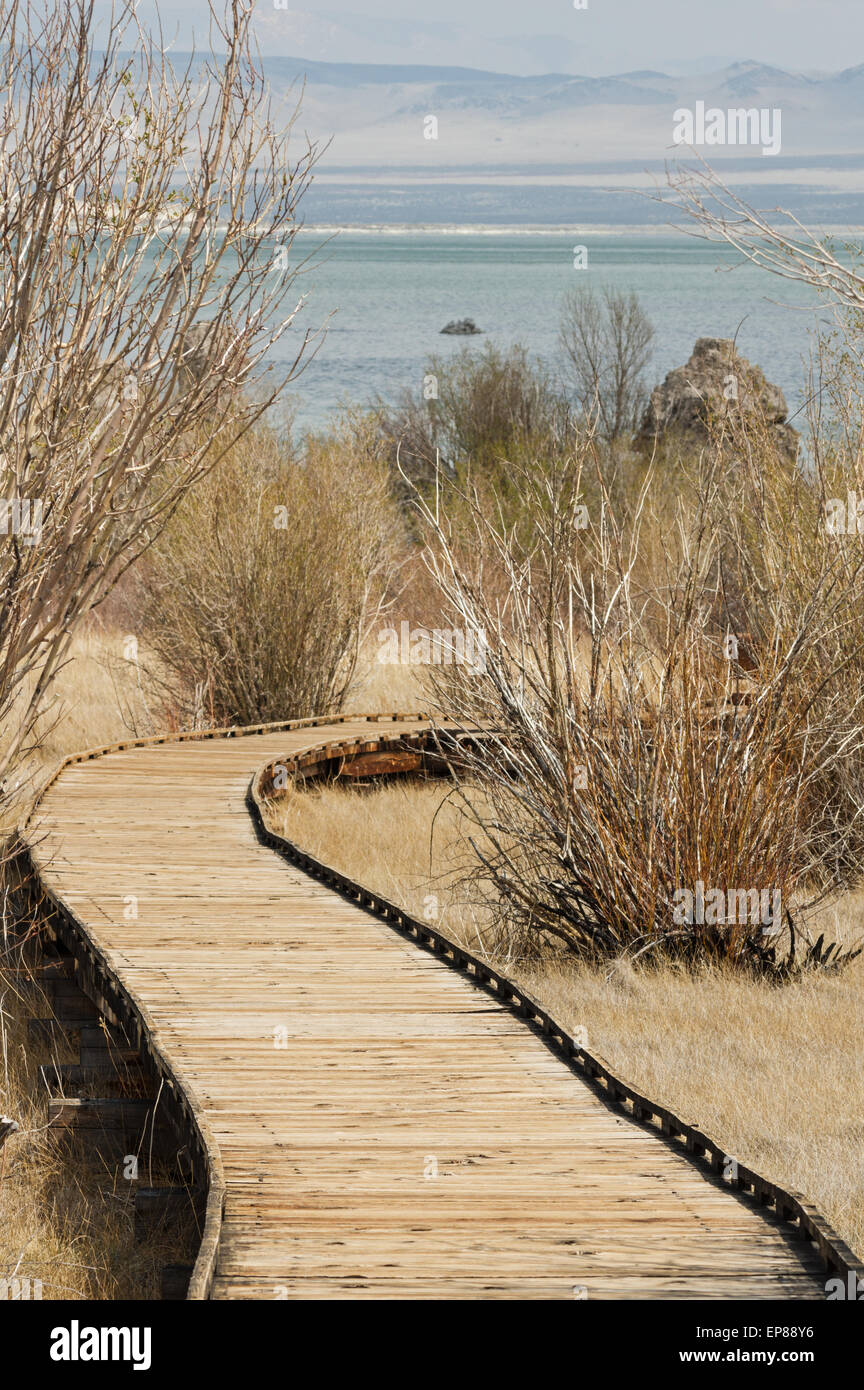 Il boardwalk sentiero verso la riva del lago Mono Foto Stock