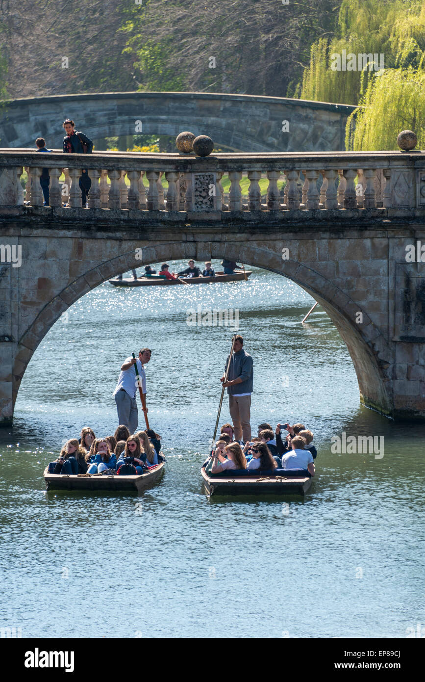 Punting sul fiume Cam in Cambridge Inghilterra tiene nella famosa dorsi dei Collegi Universitari ed è popolare con i turisti Foto Stock