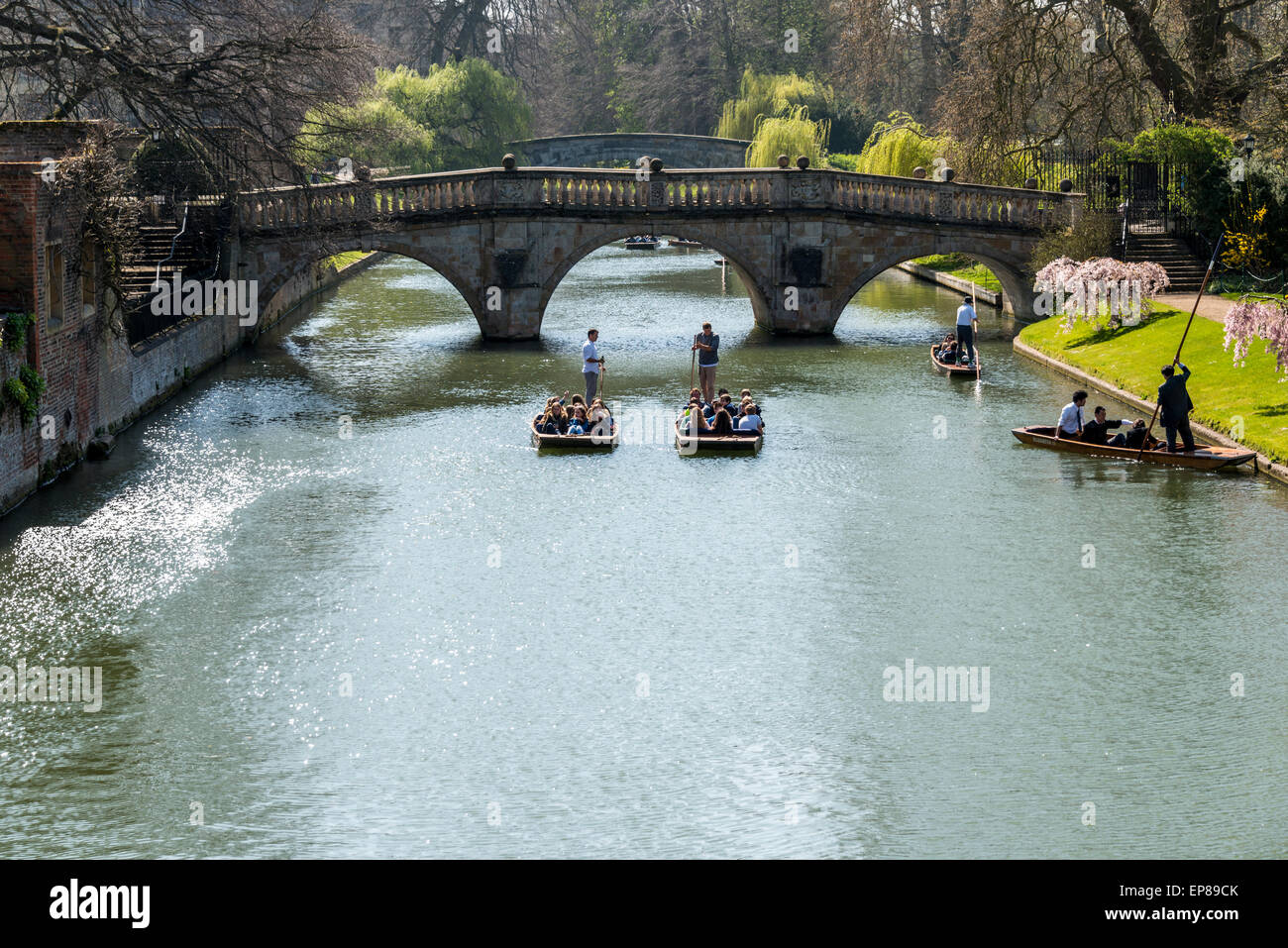 Punting sul fiume Cam in Cambridge Inghilterra tiene nella famosa dorsi dei Collegi Universitari ed è popolare con i turisti Foto Stock