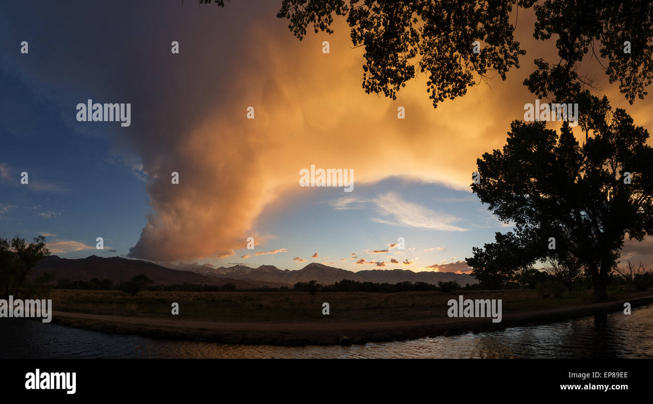 Owens Valley tramonto su un canale di irrigazione Foto Stock