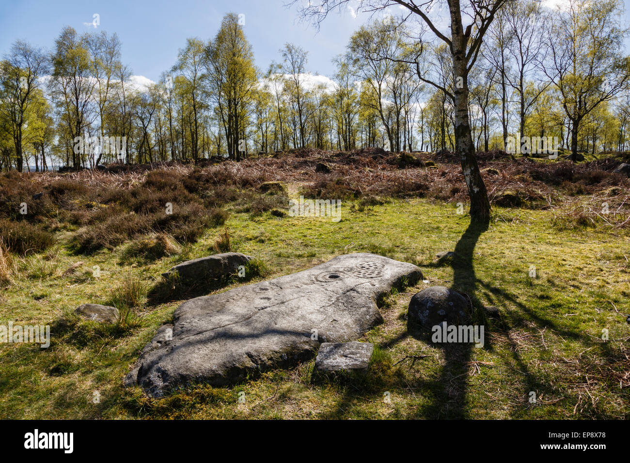 Replica boulder con il neolitico o età del Bronzo 'cup e ring' marcature, Gardom's Edge, Parco Nazionale di Peak District, Derbyshire Foto Stock