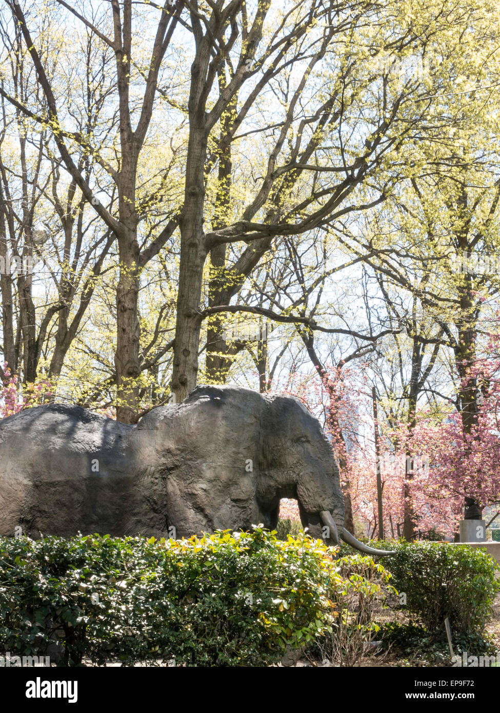 Statua dell'elefante toro africano nel Giardino delle sculture delle Nazioni Unite, NYC, USA 2015 Foto Stock
