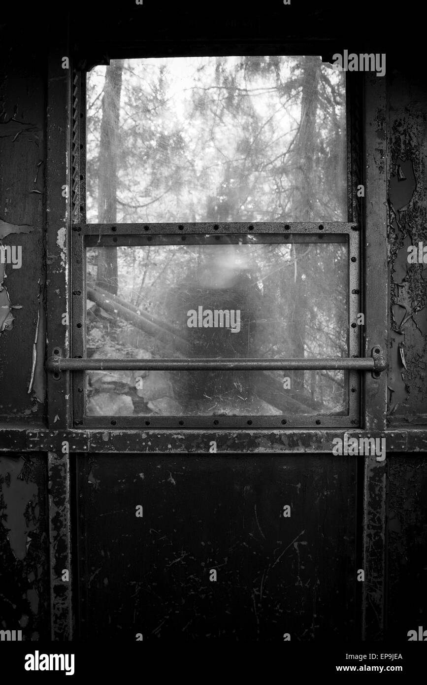 La figura di una persona dietro il vetro di una finestra del treno Foto Stock