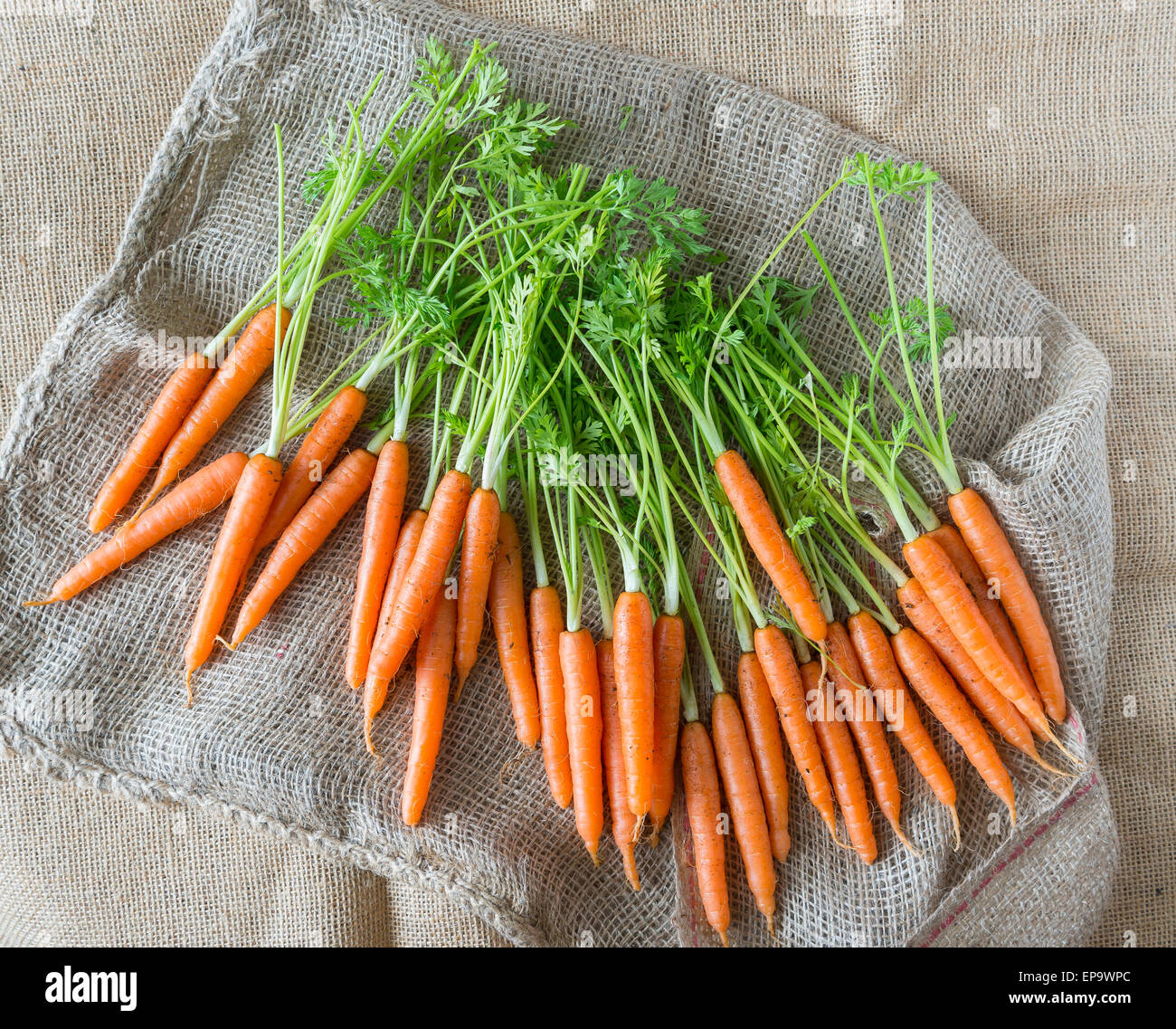 Appena le carote prelevate su un sacco di ortaggi. Foto Stock