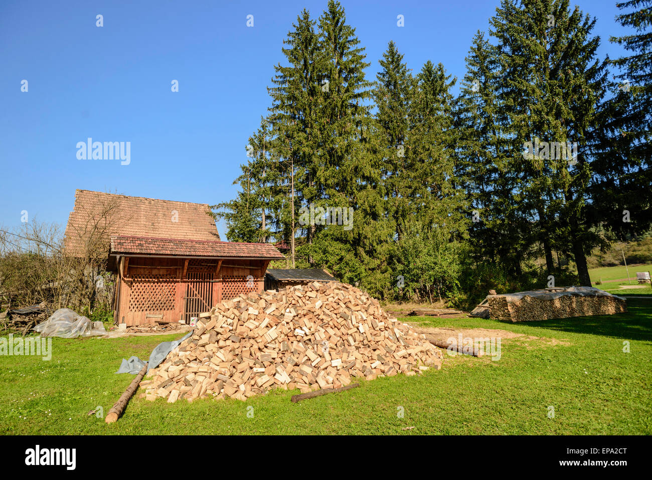 Villaggi tradizionali in area di notranjska nel sud-ovest della Slovenia, europa Foto Stock