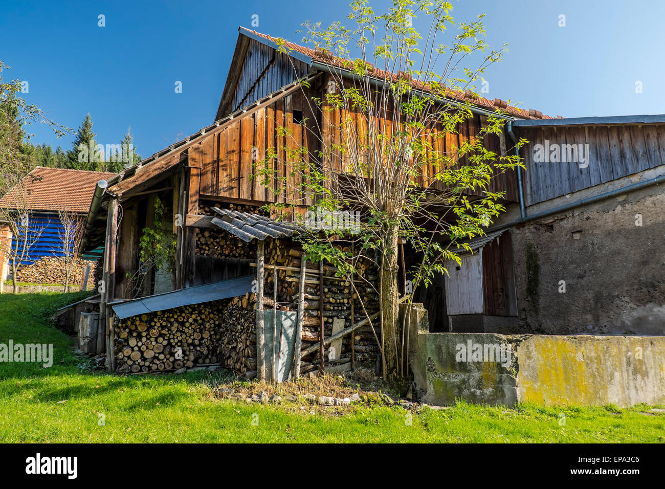 Villaggi tradizionali in area di Notranjska nel sud-ovest della Slovenia, Europa Foto Stock