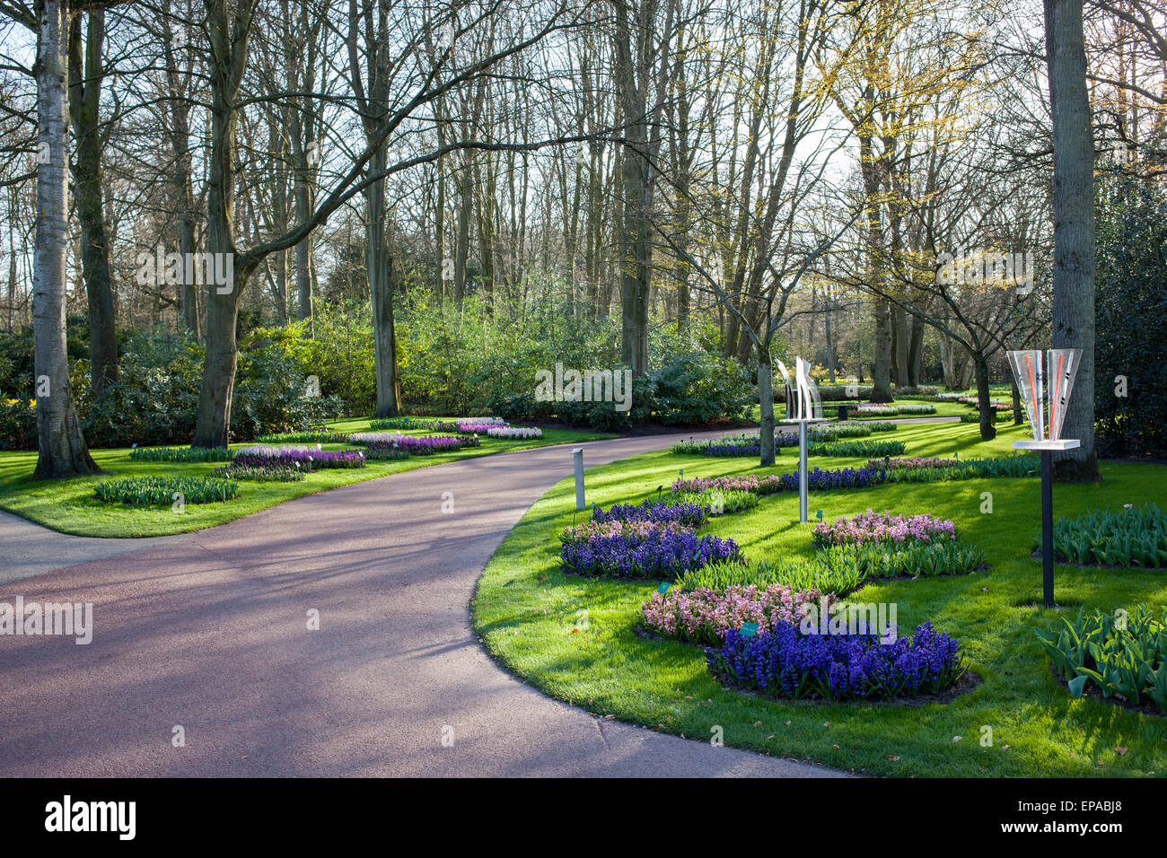 Famoso Parco dei Fiori Keukenhof nei Paesi Bassi anche noto come il giardino d'Europa, è il più grande del mondo di Flower Garden. Foto Stock