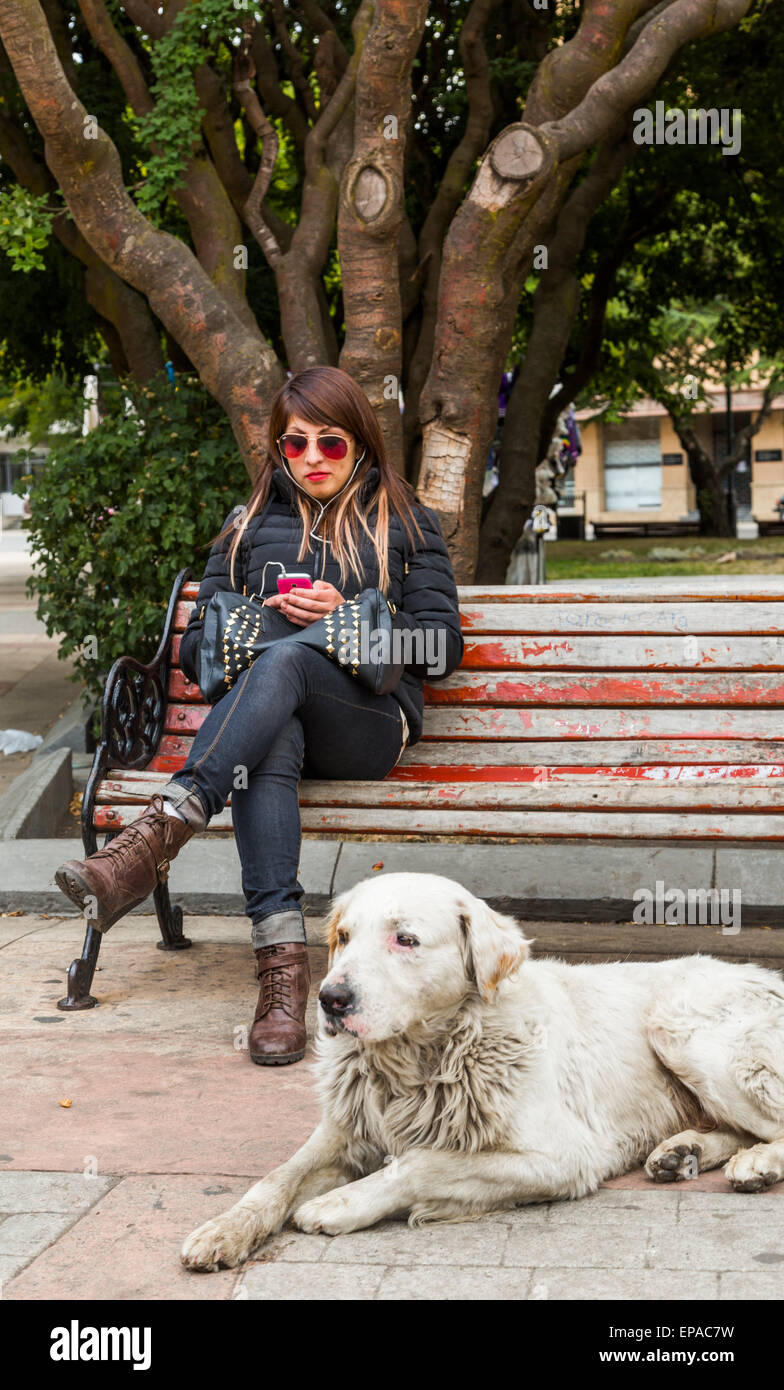 Donna sul banco di lavoro con il cane, Plaza de Armas, Punta Arenas, Cile Foto Stock
