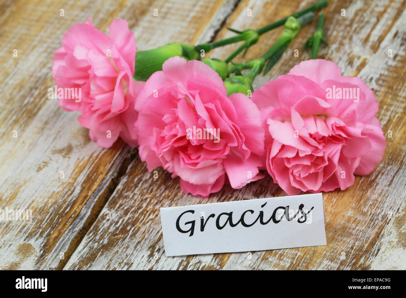 Gracias (che significa grazie in spagnolo) Scheda con tre garofani rosa su legno rustico Foto Stock