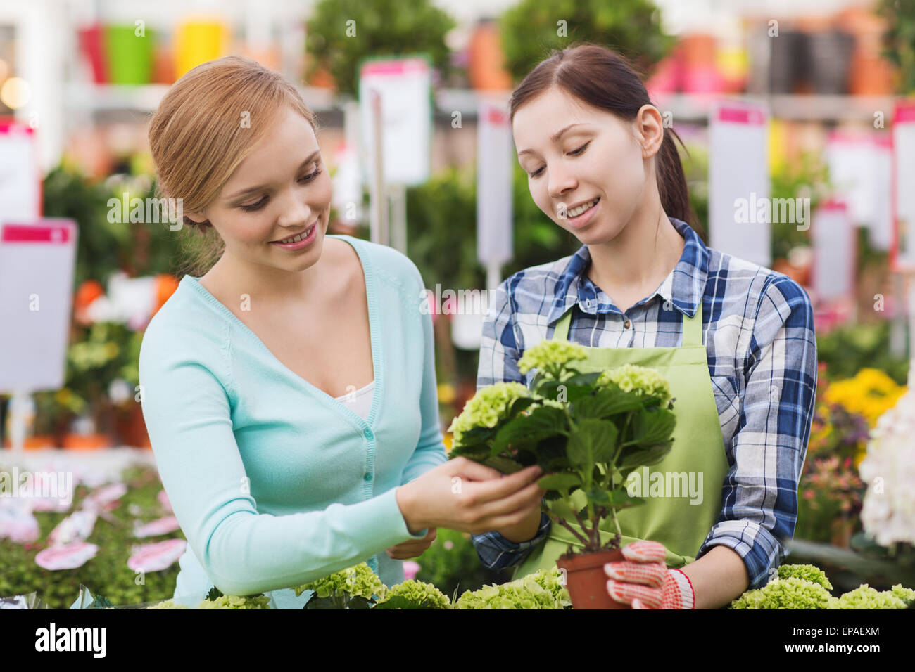 Felici donne scegliendo i fiori in serra Foto Stock