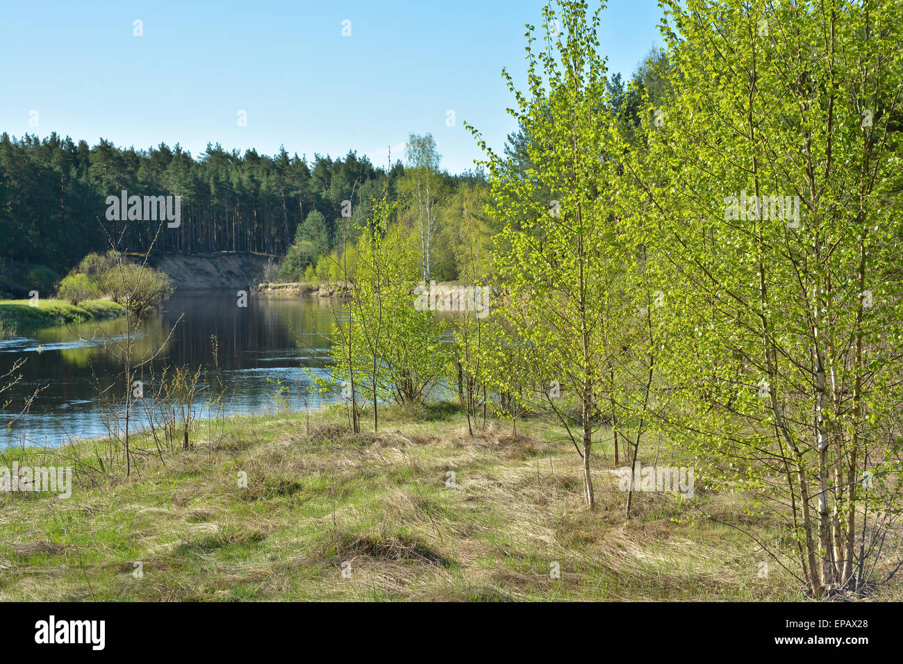 L'inizio di maggio su un fiume protetto. La molla del paesaggio, il fiume e il primo verdi alberi. Foto Stock