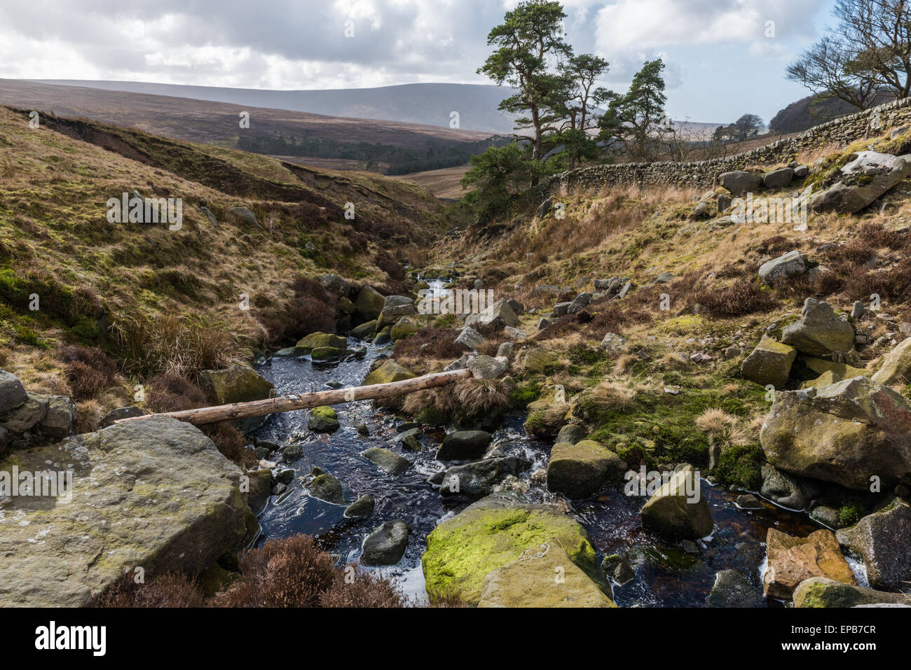 Pole trappola sul fiume Marshaw Wyre Foto Stock