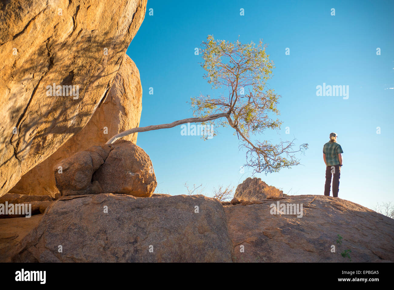 Africa, Namibia. Tramonto al Mowani Mountain Camp. Uomo in piedi accanto alla struttura deformata. Foto Stock