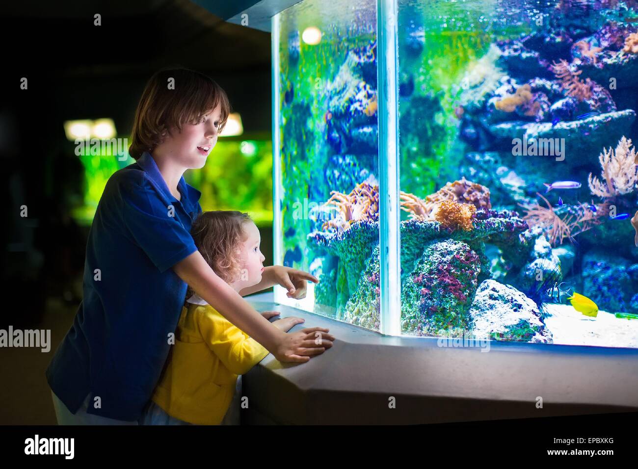 Felice di ridere ragazzo e la sua adorabile sorella toddler, grazioso piccolo ragazza ricci guardare dei pesci in acquario tropicale con barriera corallina Foto Stock