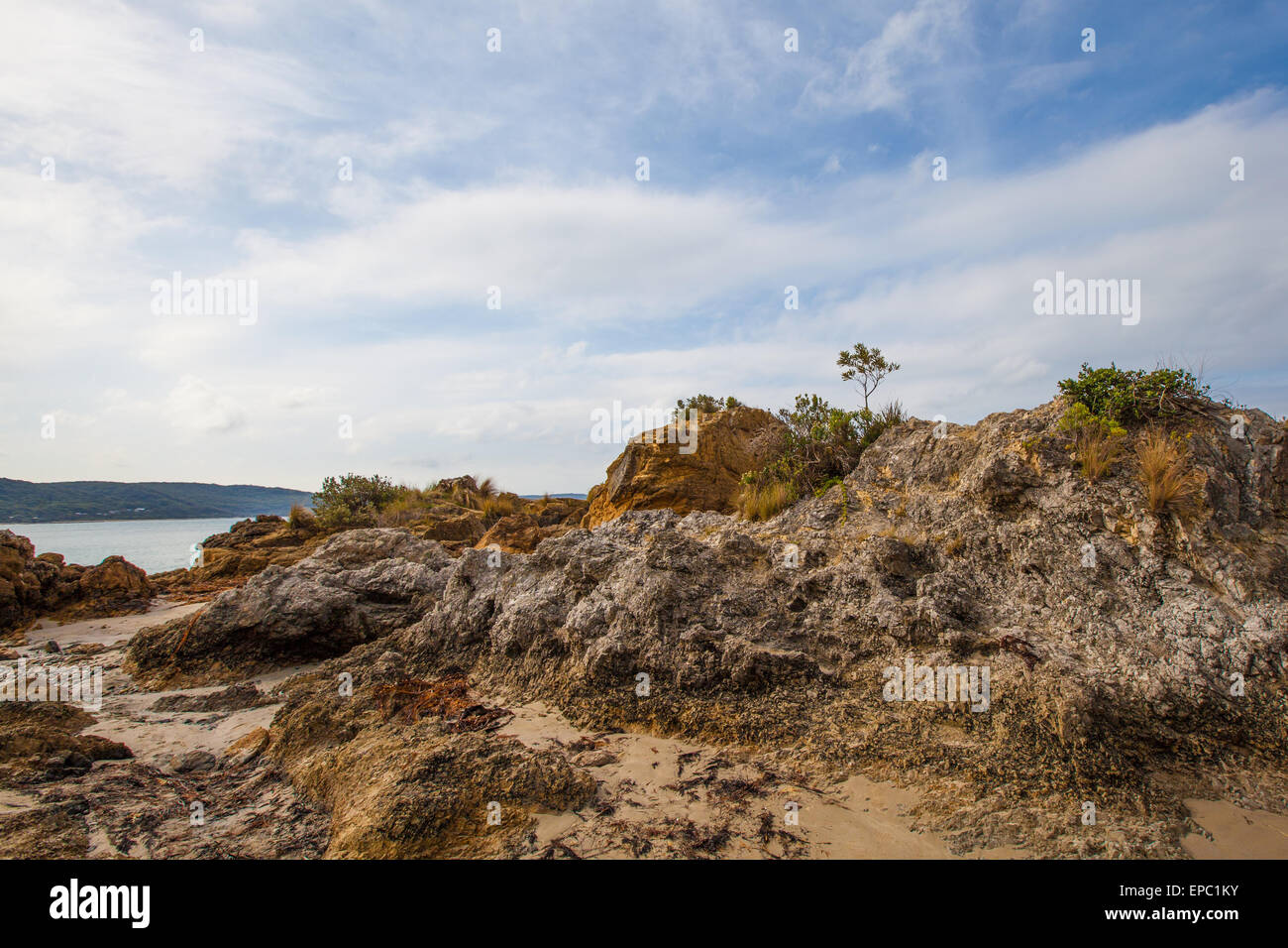 Calcare le formazioni rocciose a Walkerville South Beach, Victoria, Australia Foto Stock