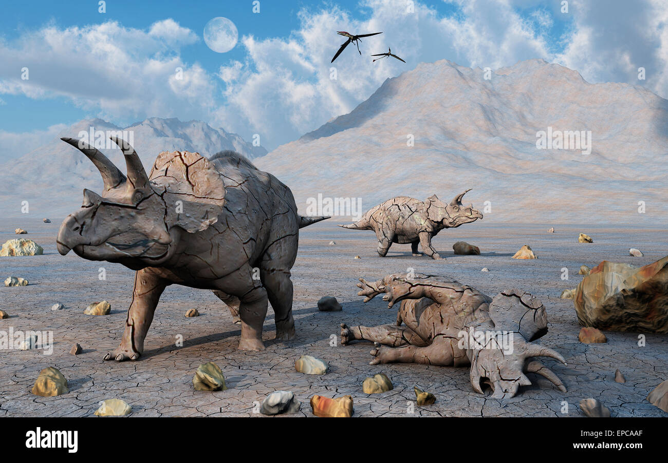 Pietrificati Triceratops dinosauri. Foto Stock