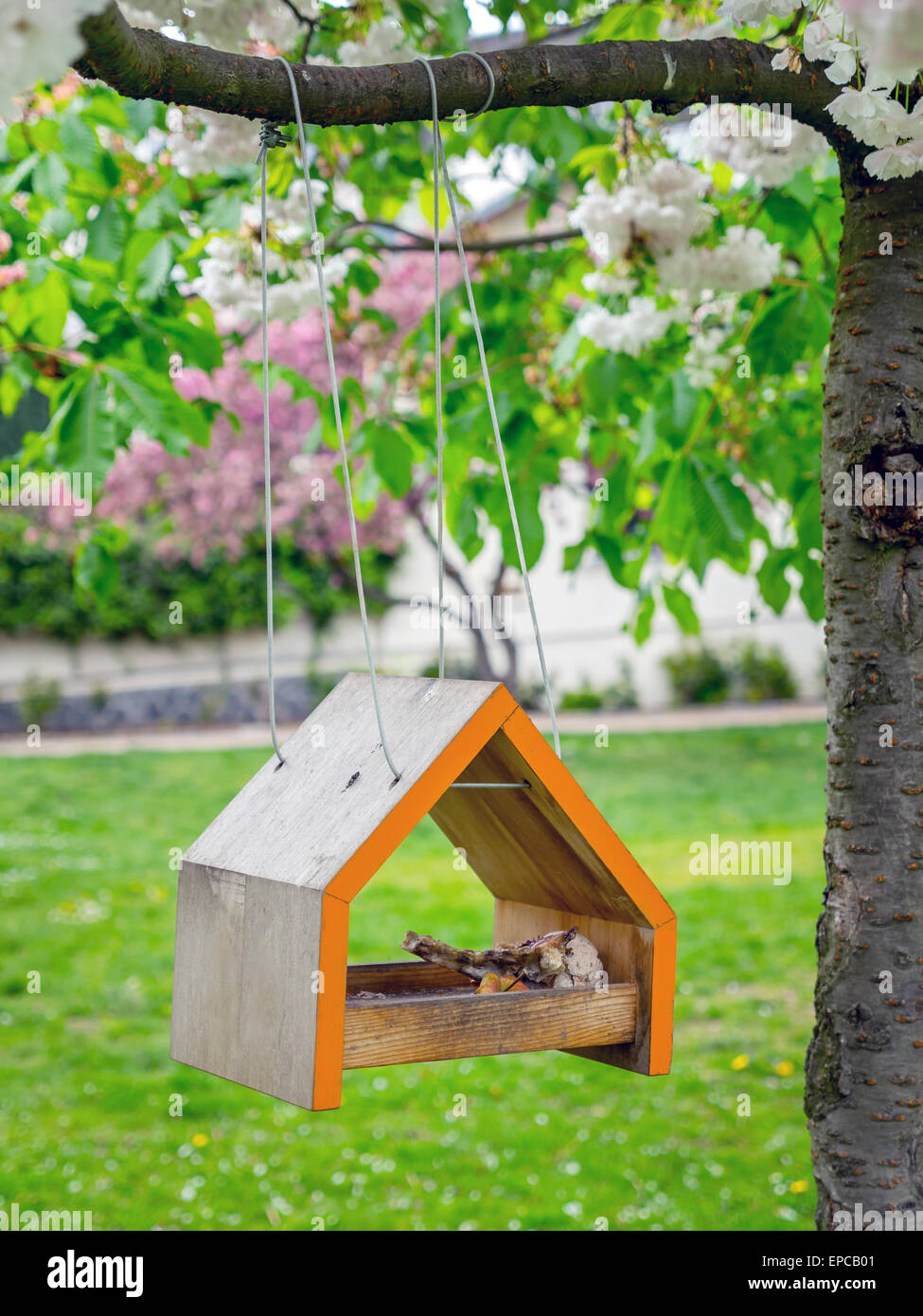 Birdhouse in legno appeso sul ramo di albero - tempo di primavera Foto Stock