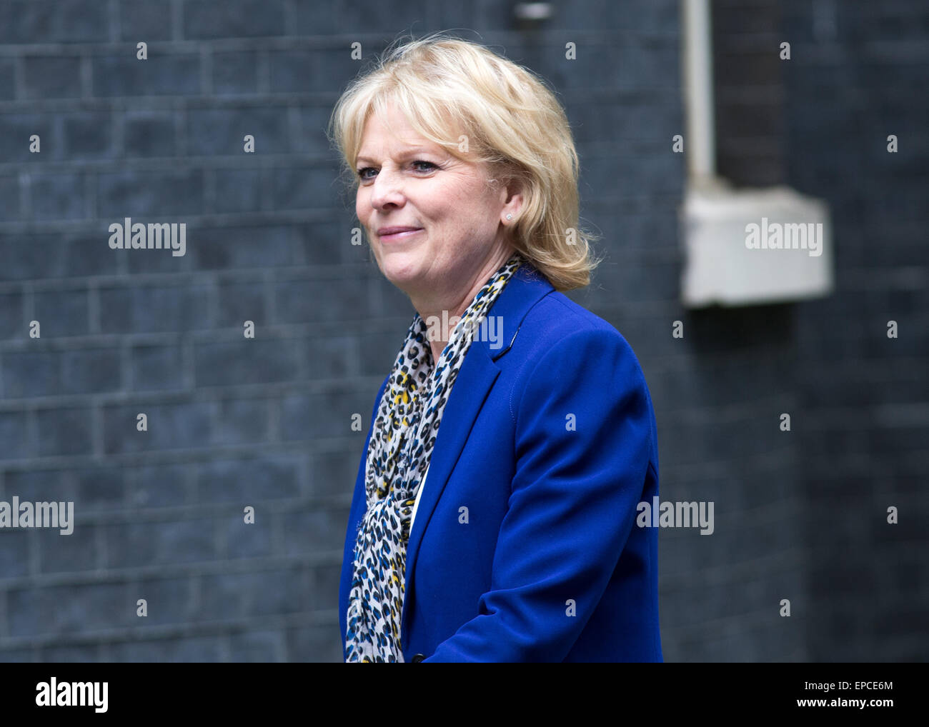 Anna Soubry,il Ministro per le piccole aziende,arriva al numero 10 di Downing Street per una riunione del gabinetto Foto Stock