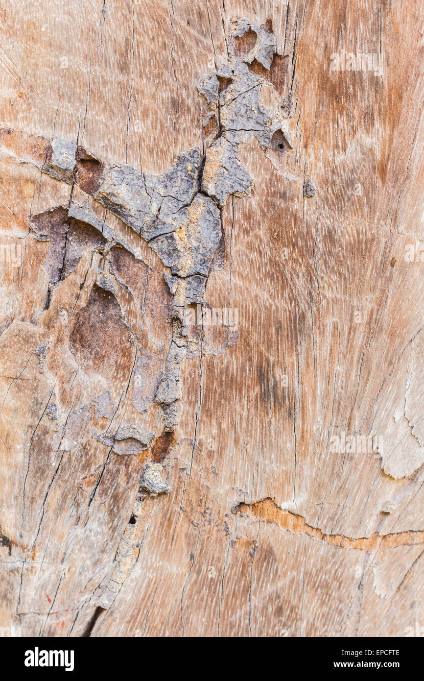 Vecchia superficie di legno con un controllo della corrosione. Foto Stock