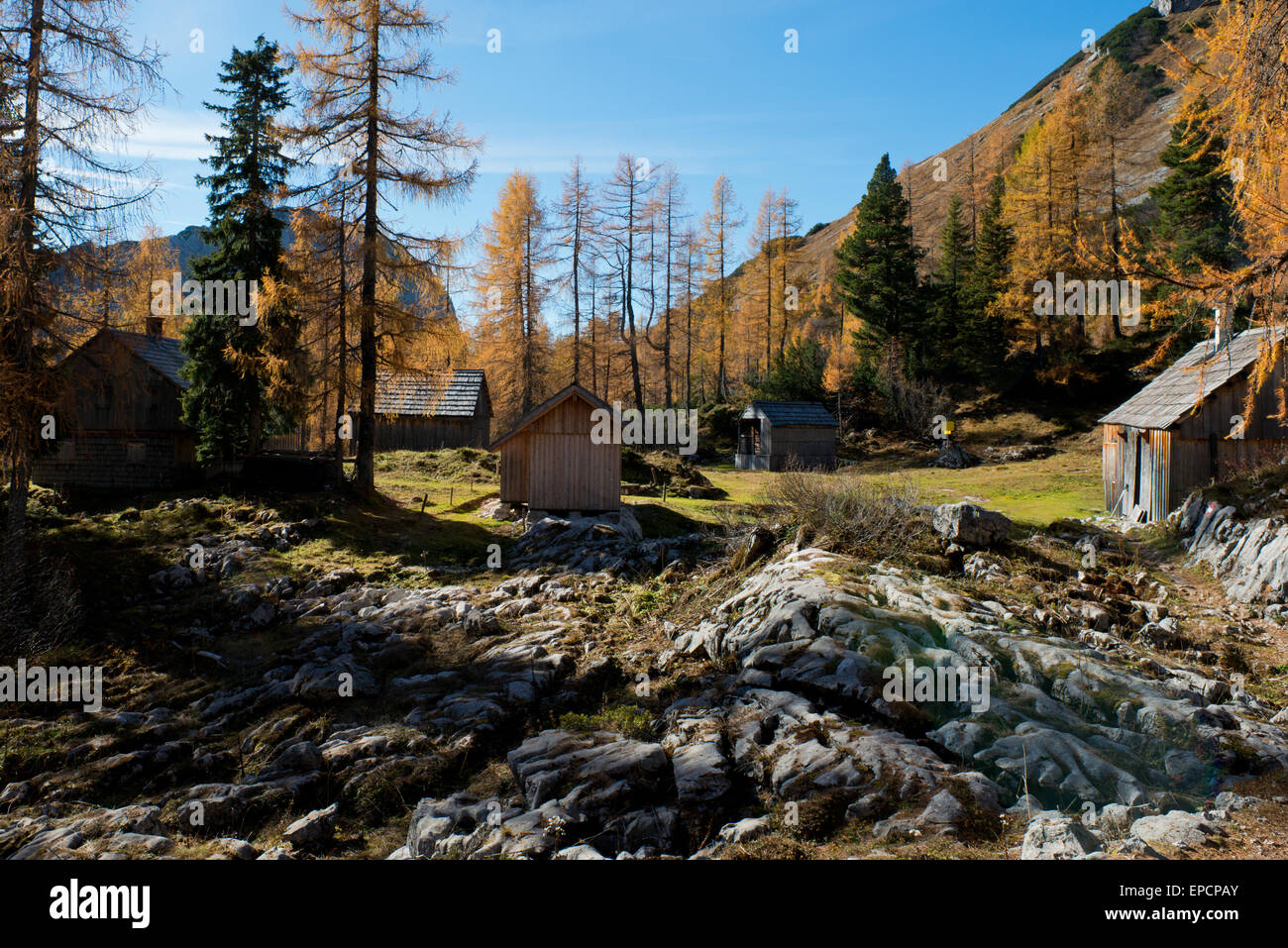 Elmgrube Alm con cabine e autunno clored larici della golden sole pomeridiano vicino Lahngangsee, Stiria, Austria Foto Stock