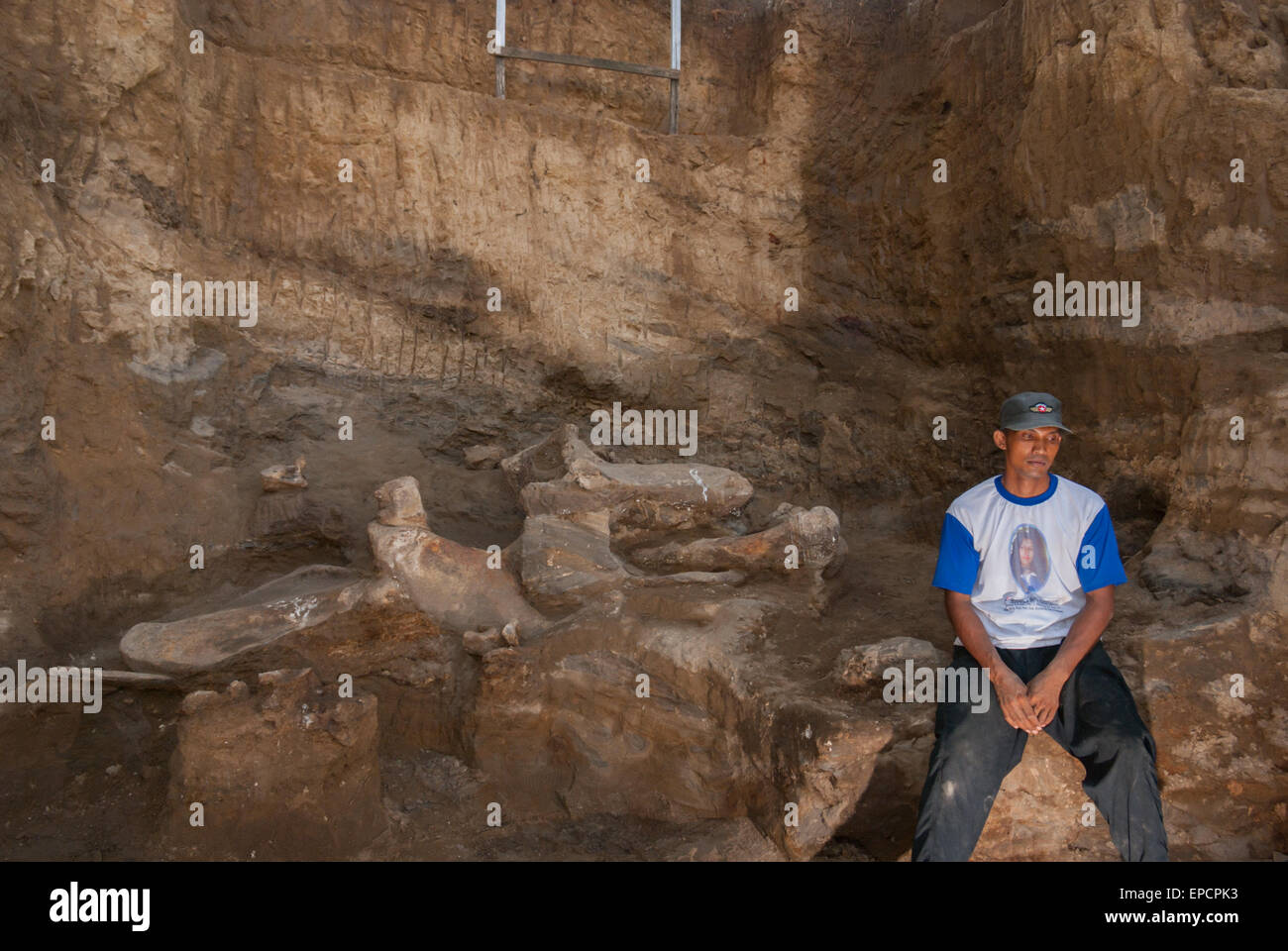 Un abitante del villaggio è fotografato presso il sito di scavo di ossa fossili di una specie di elefante estinta, Elephas hysudrindicus, a Blora, Indonesia. Foto Stock