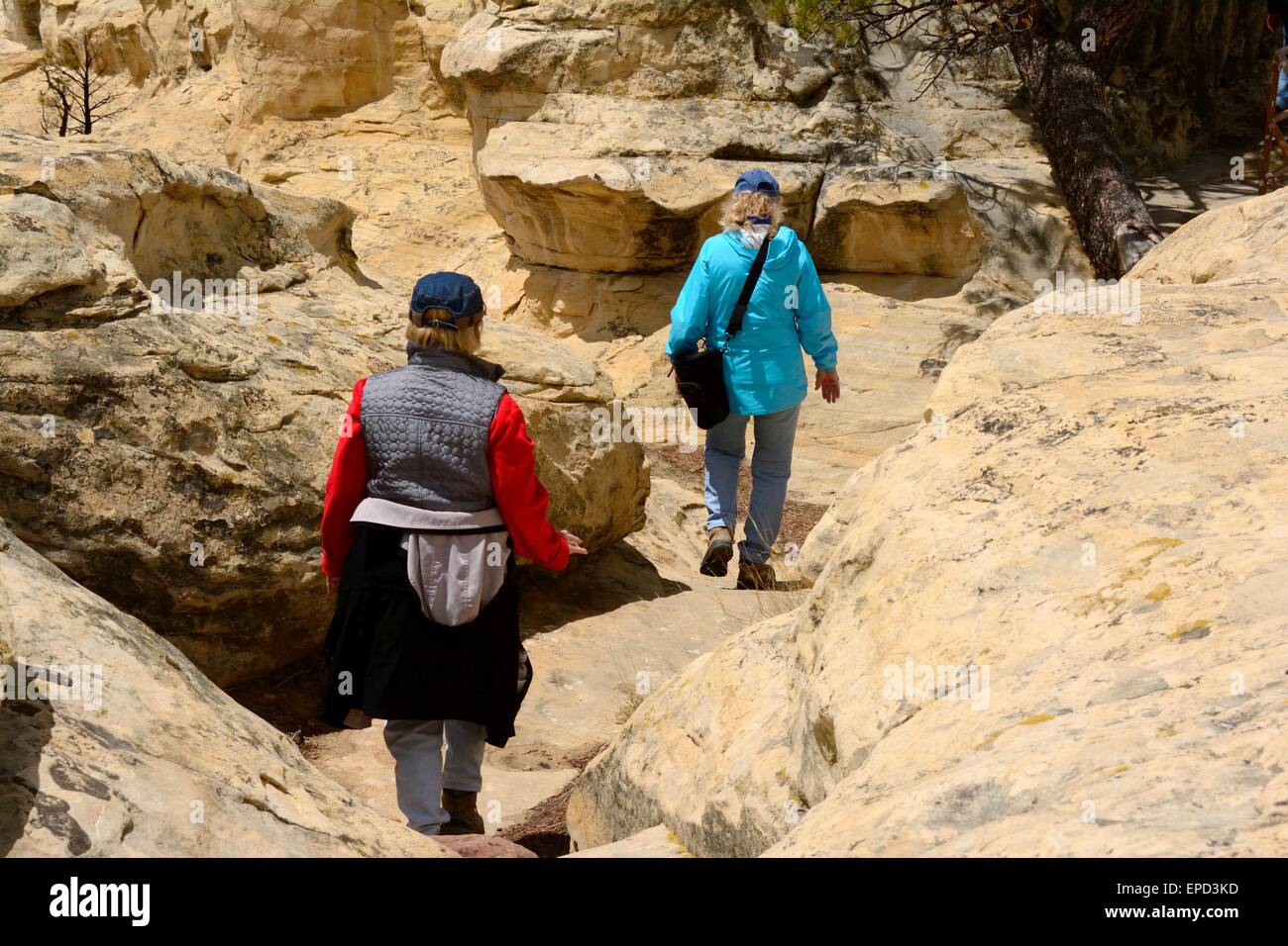 Due cittadini senior di negoziare un sentiero scavato nella pietra arenaria a El Morro Monumento Nazionale New Mexico - USA Foto Stock