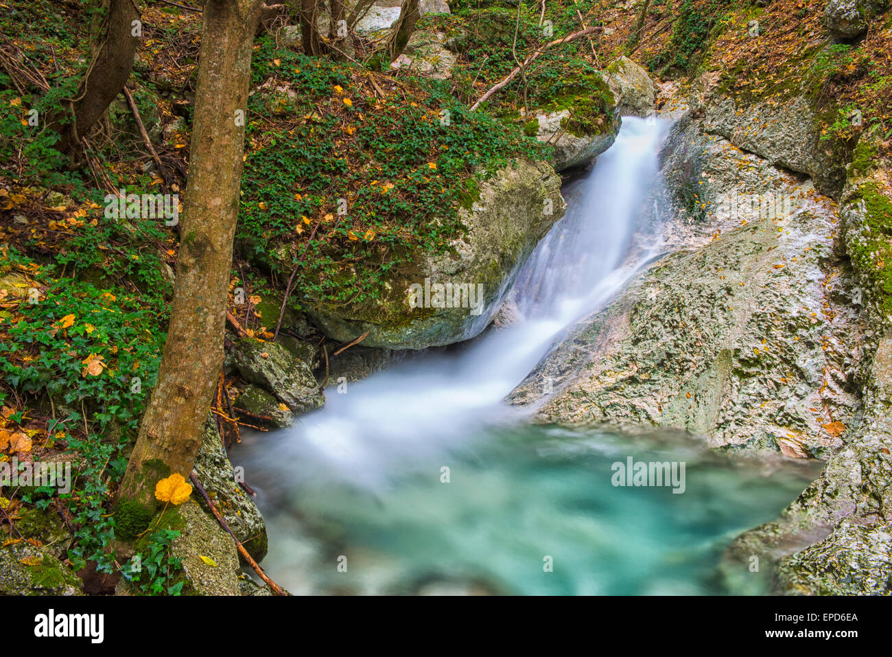 La cascata nel bosco in autunno con fogliame colori, Monte Cucco NP, degli Appennini, Umbria, Italia Foto Stock