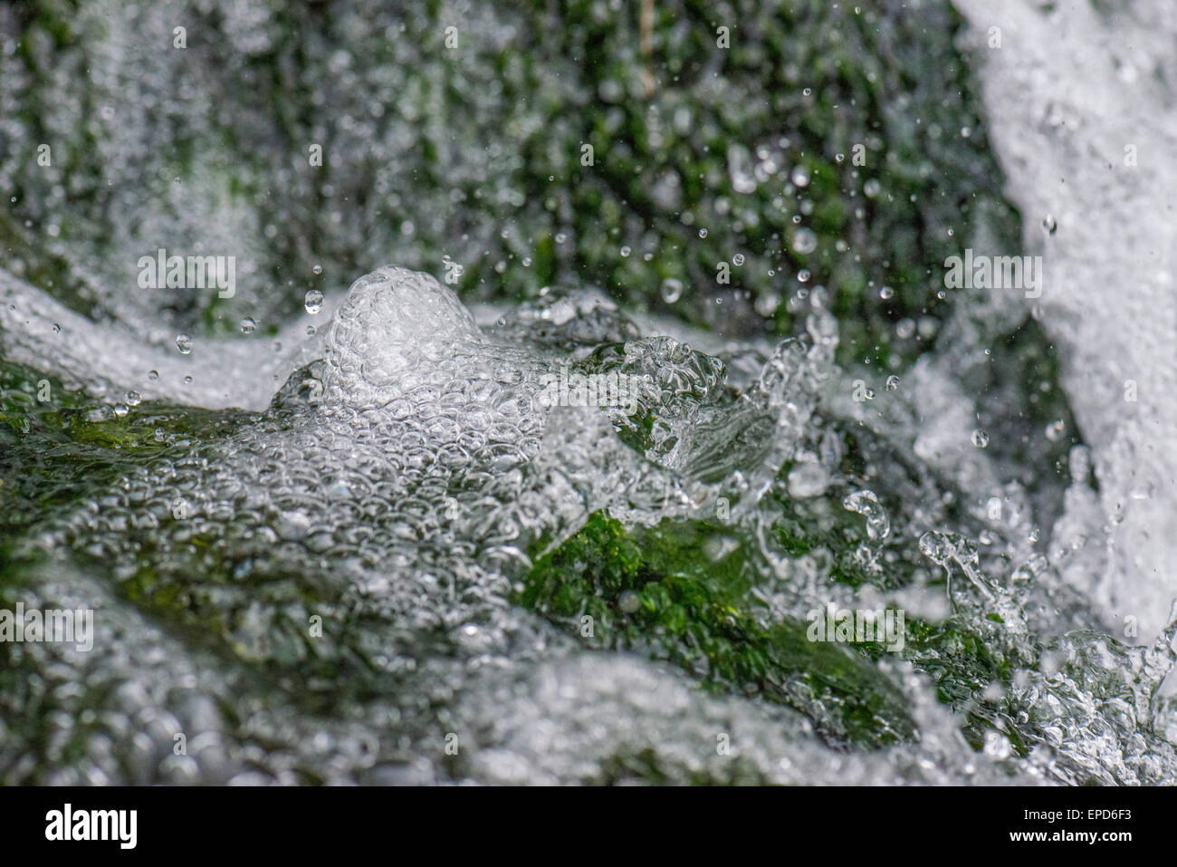 L'acqua che cade sul verde muschio Foto Stock