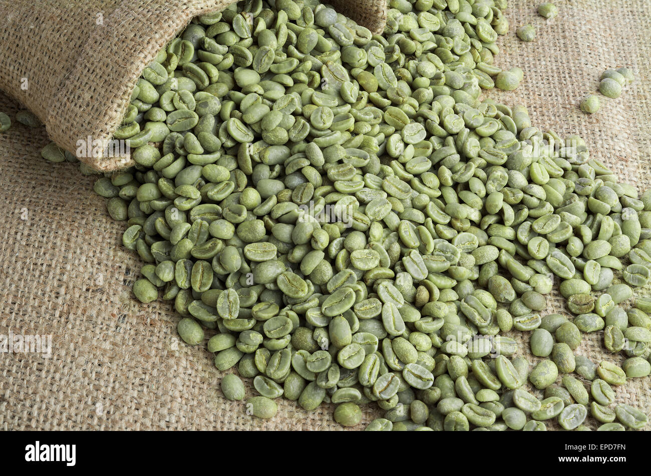 Chicchi verdi di caffè nel sacco di tela sulla superficie di tela Foto Stock