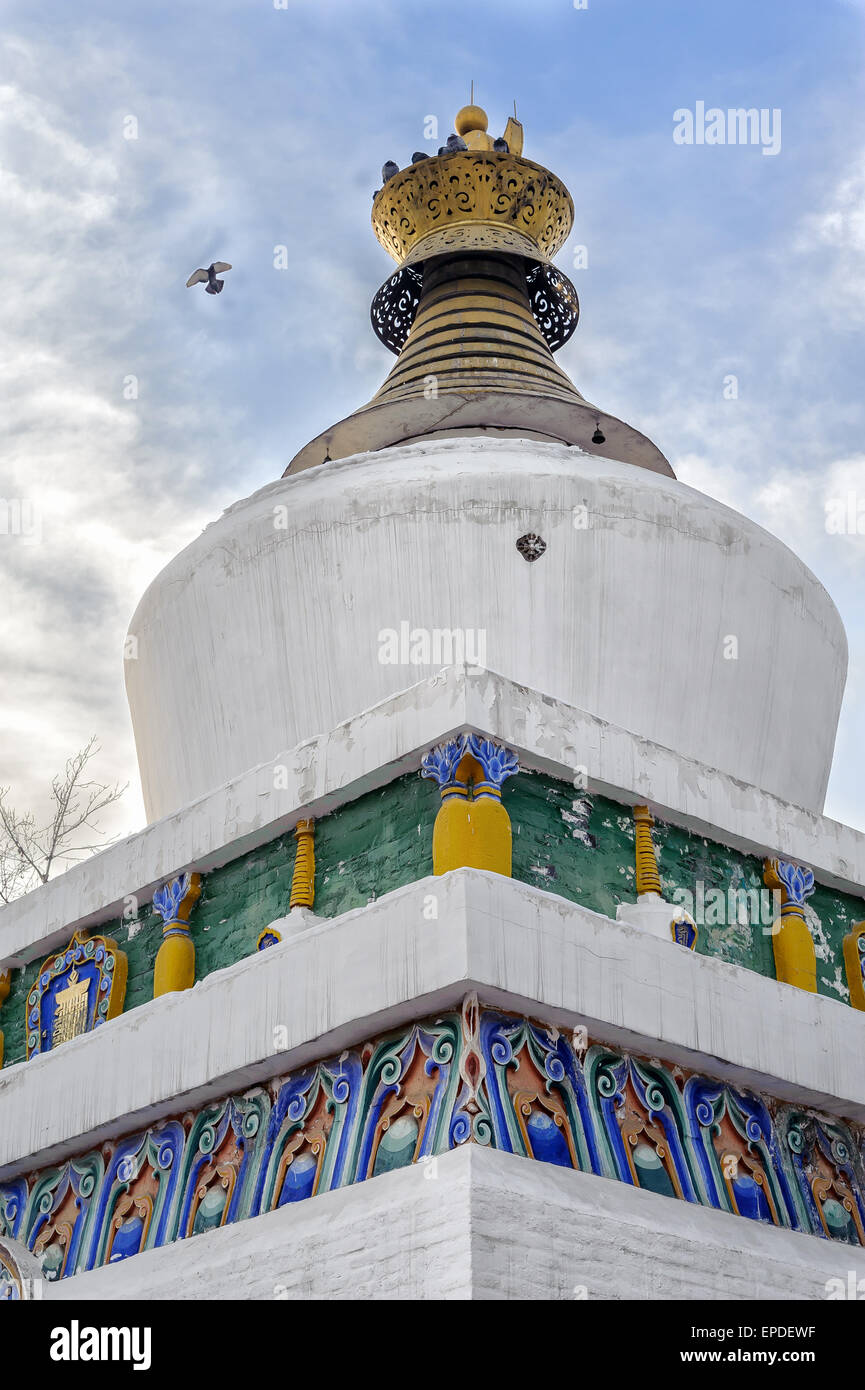 Colomba discendere su di uno stupa in Ta'er monastero del cappello giallo setta in Huangzhong County, Provincia di Qinghai, Cina Foto Stock