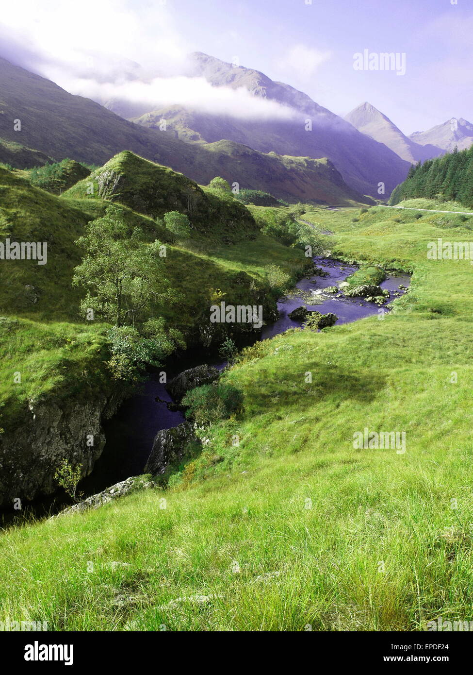 Erba verde di una montagna Foto Stock