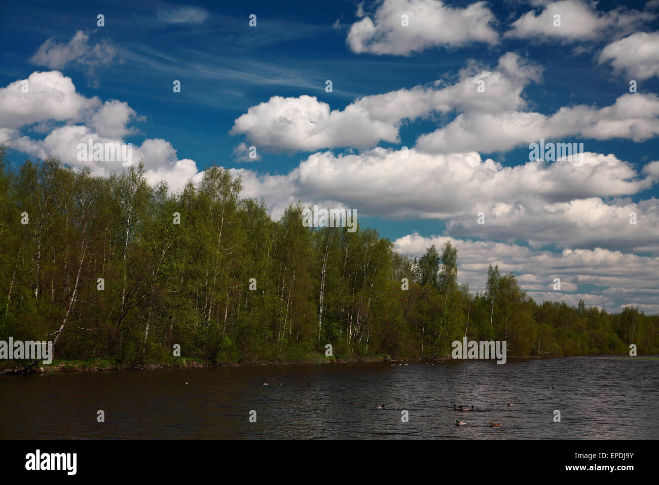 In questo paesaggio fiume, bosco, cielo molto nuvoloso Foto Stock