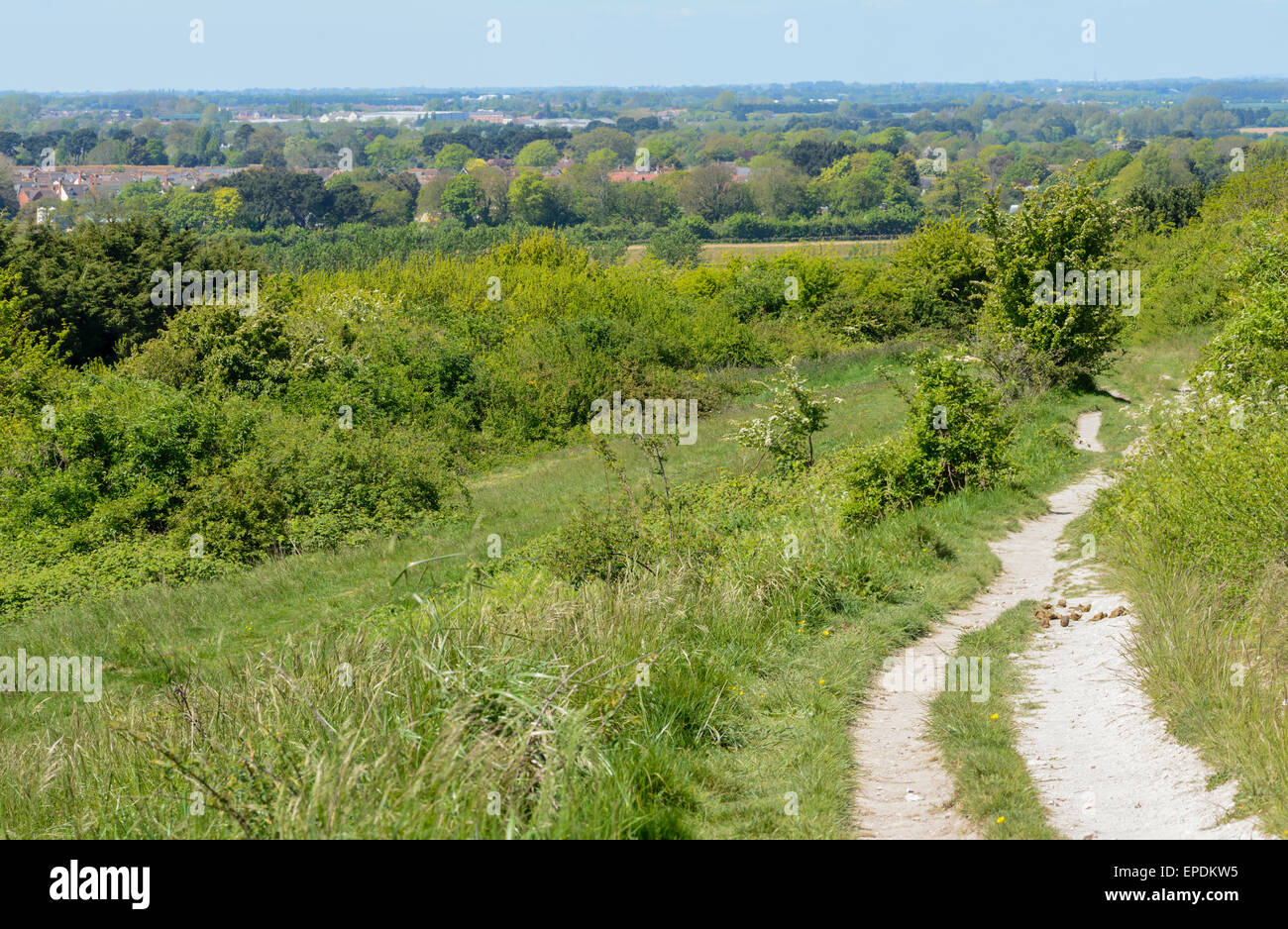 Sentiero nella campagna Britannica con una vista del South Downs in Highdown, West Sussex, in Inghilterra, Regno Unito. Foto Stock
