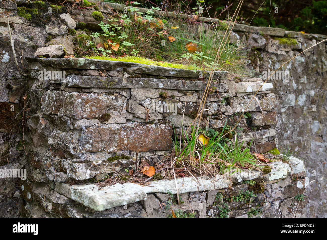 Regno Unito, Inghilterra, Yorkshire. Contrafforte rinforzo di un muro di pietra che circonda un Paese dello Yorkshire Home. Foto Stock