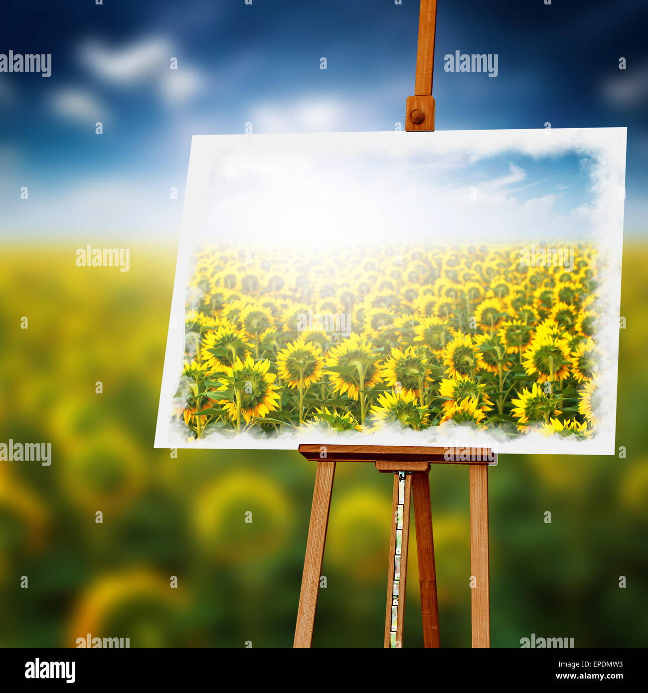 La pittura di girasole sul cavalletto in legno, impronta artistica del campo coltivato Foto Stock