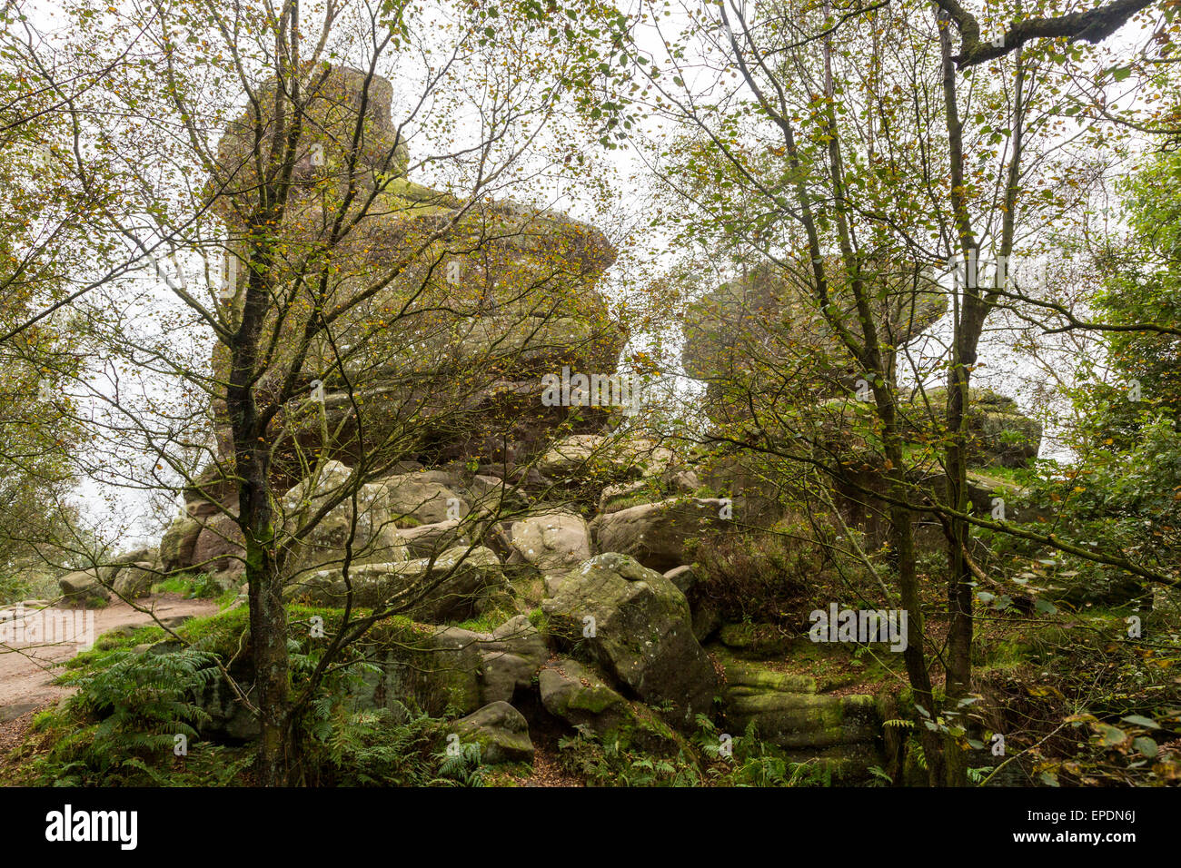 Regno Unito, Inghilterra, Yorkshire. Brimham Rocks, un National Trust ubicazione. Foto Stock