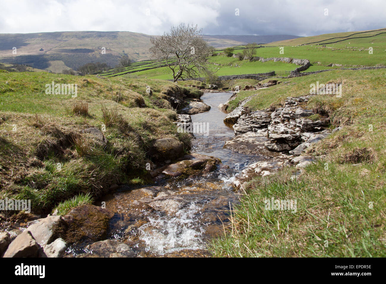 Yorkshire Dales, Inghilterra. vista pittoresca di uno dei cray cascate che è un affluente del fiume wharfe. Foto Stock