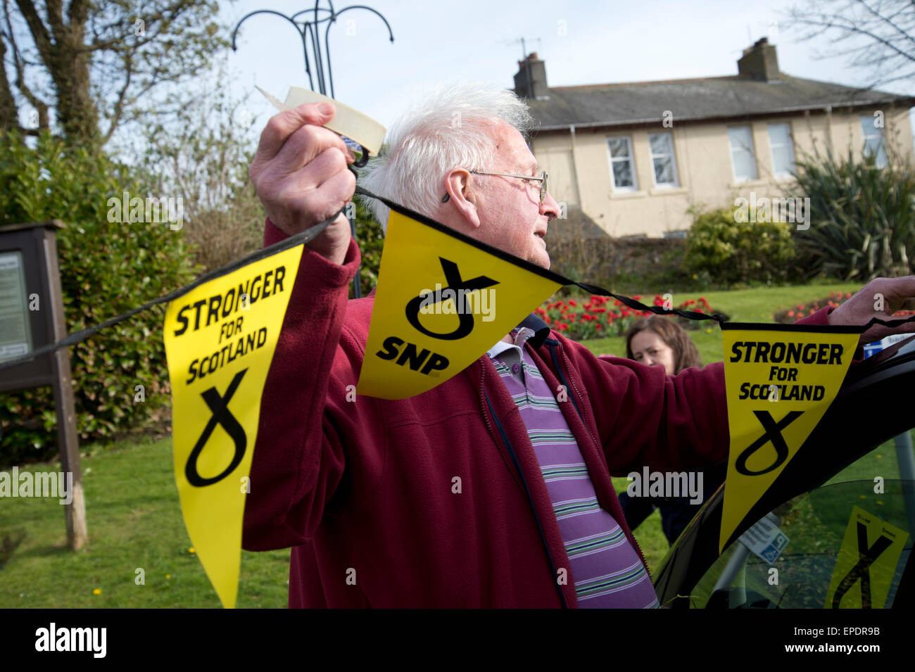 La Scozia. Un anziano uomo mette fino bunting per la vigilia delle elezioni calvacade intorno alla città dal SNP (Partito nazionale scozzese). Foto Stock