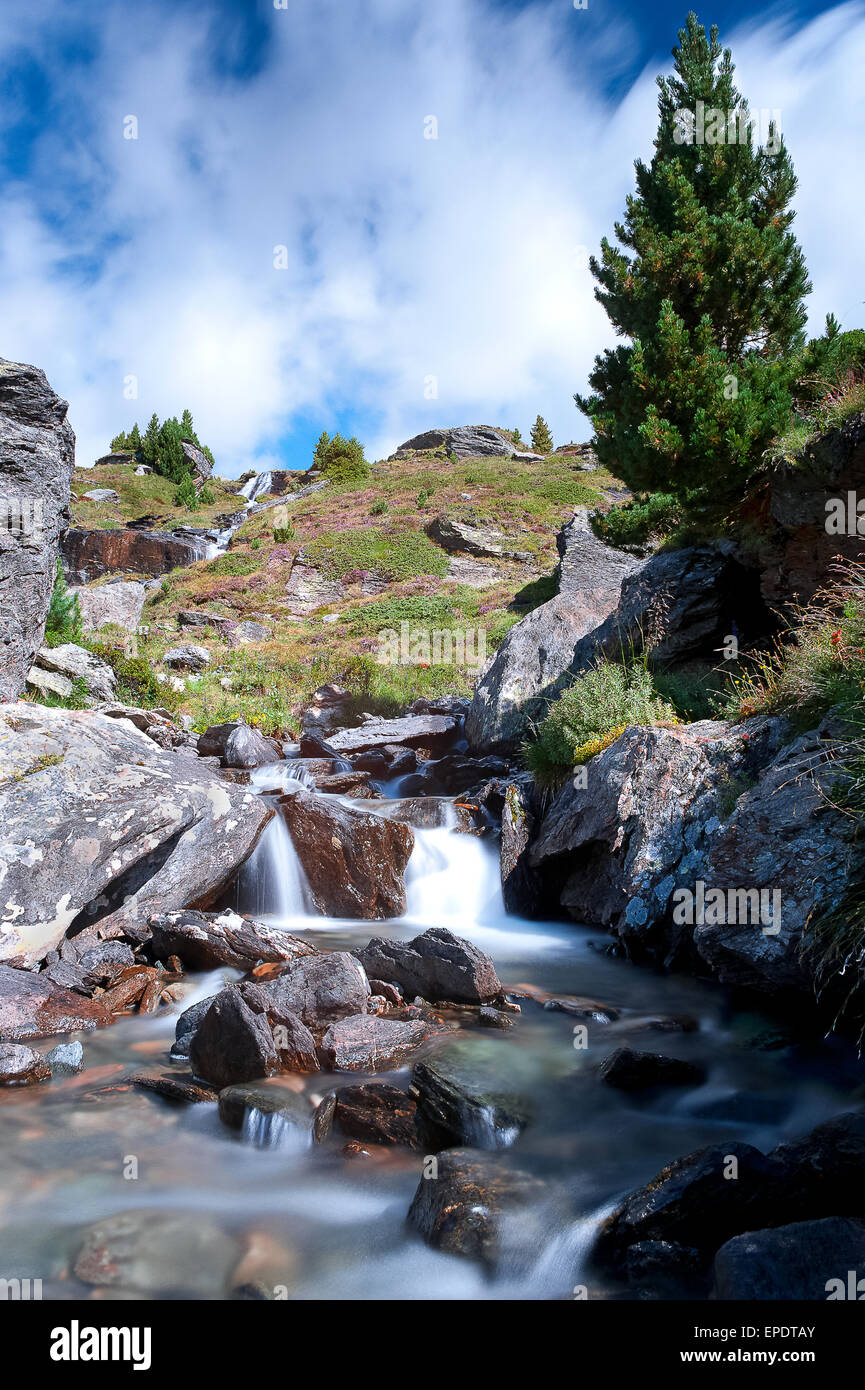 Parco Nazionale dello Stelvio ,in streaming in Val di Forni Foto Stock