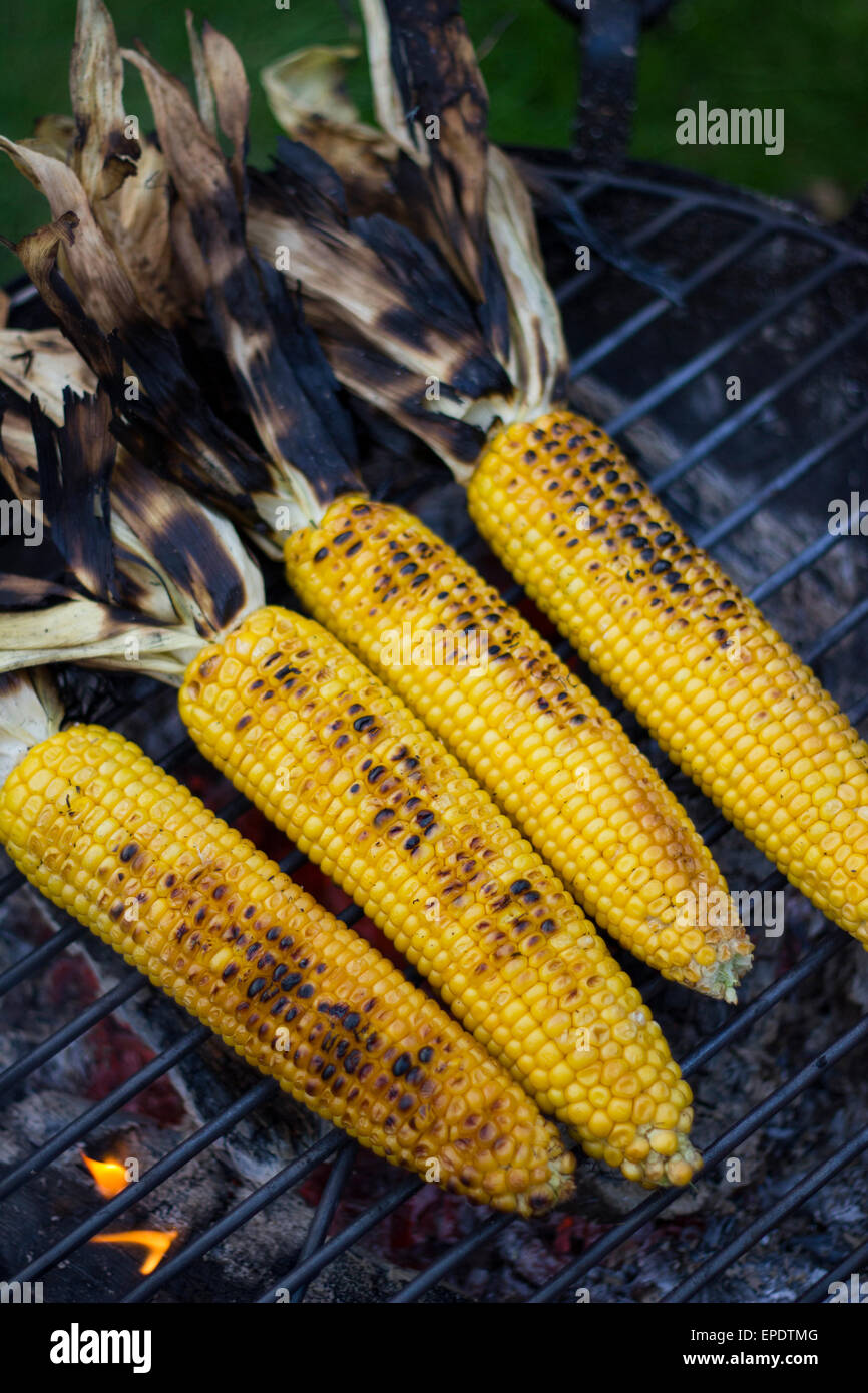 Quattro corn sui tutoli tostatura su un grill Foto Stock