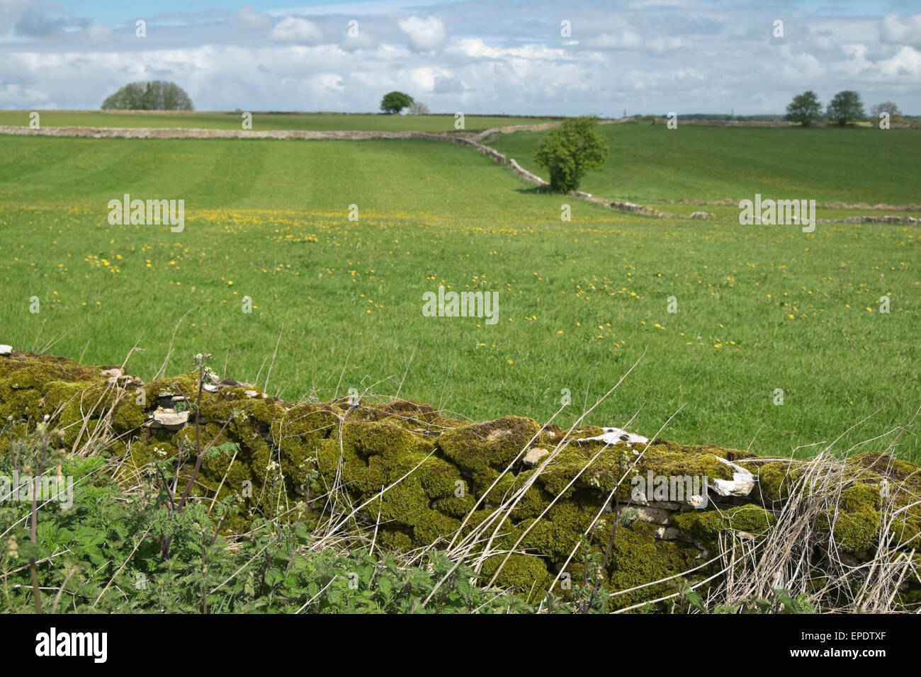 La campagna inglese e Gloucestershire in Inghilterra. Guardando a nord dalla strada Middledown vicino Marshfield Wiltshire. I Cotswolds Foto Stock